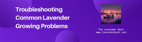 Troubleshooting Common Splat Problems