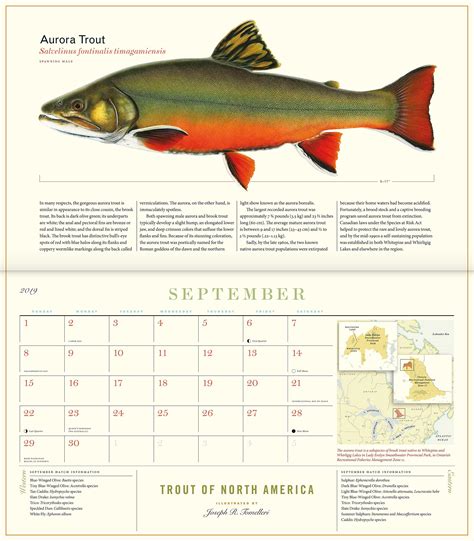 Fishing Calendar 2019 Free Download Printable Calendar Templates
