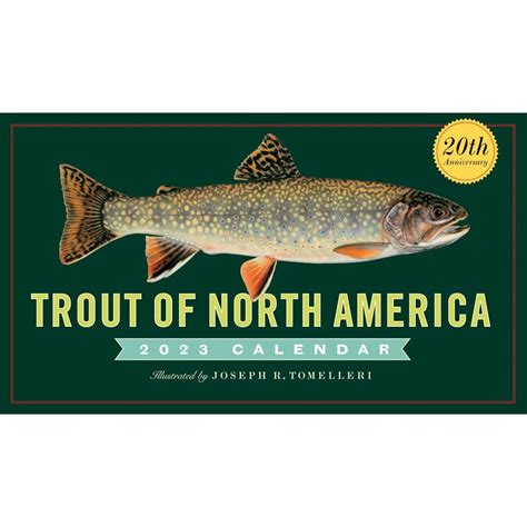 Trout Of North America Wall Calendar 2024