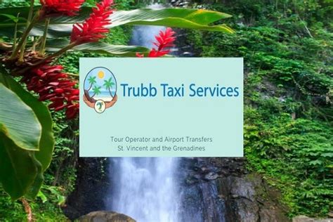 Trubb Taxi Tours