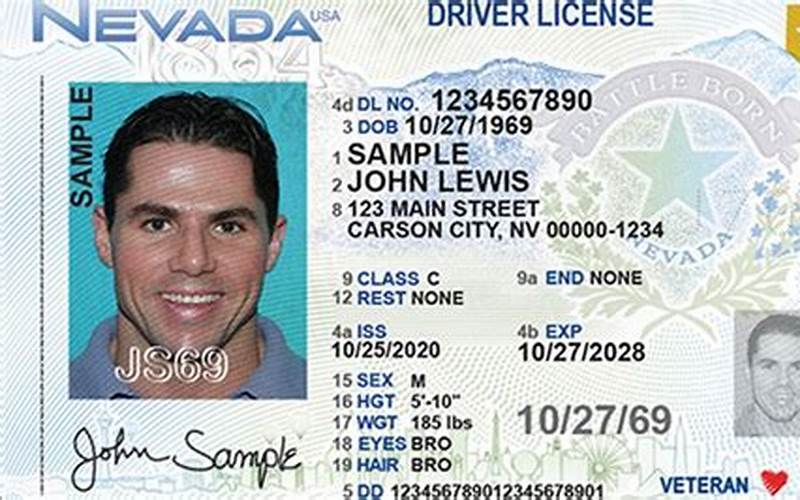 Truck Driver License