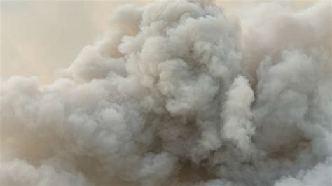 True Fire Smoke & Grill