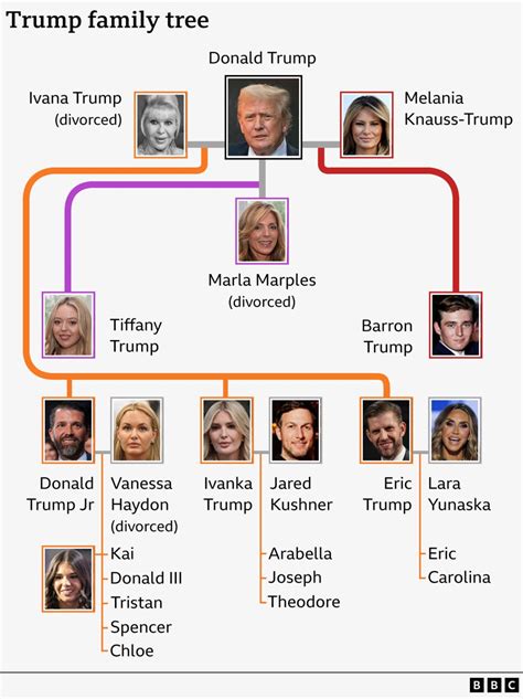 Trump Family Tree Chart
