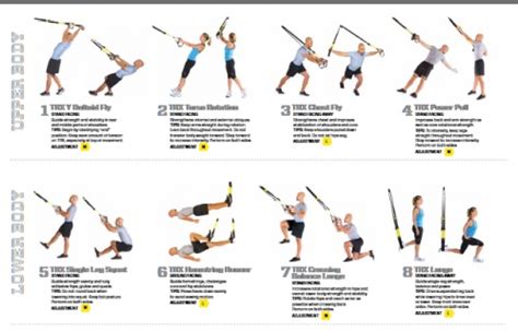 Trx Upper Body Workout Routine Pdf