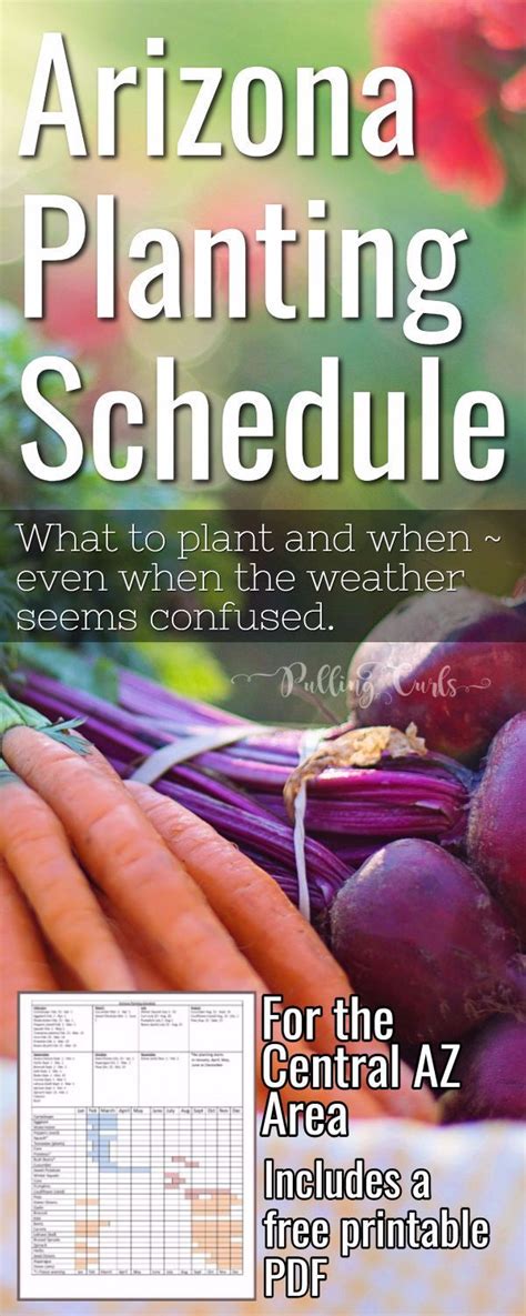 Tucson Planting Calendar