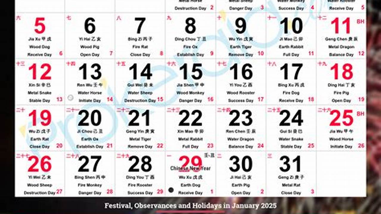 Tuesday January 23rd 2025