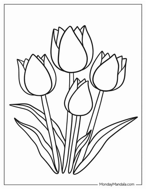 Tulips Coloring Page