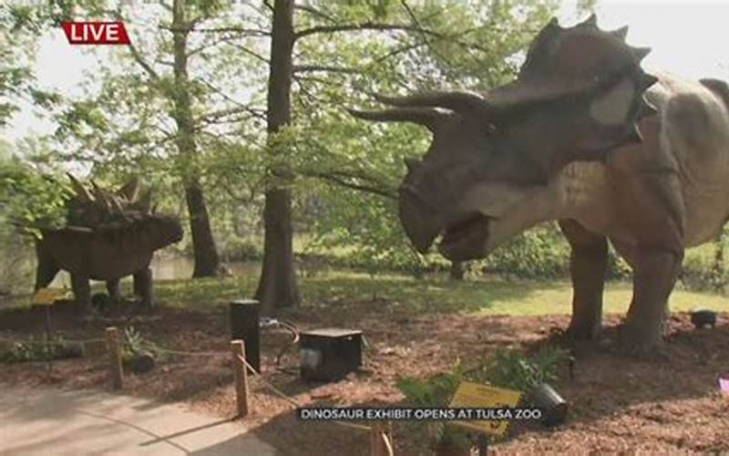 Tulsa Zoo Dino Exhibit Interactive Displays