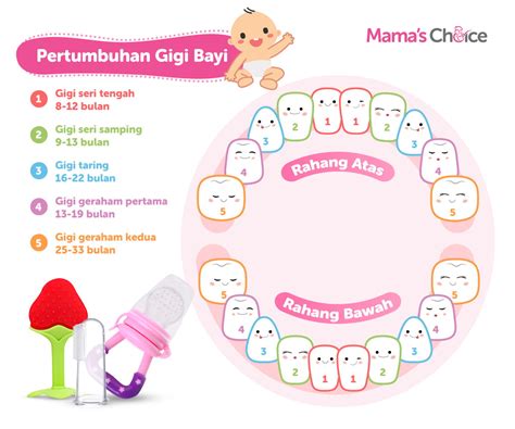 Tumbuh Gigi Pada Anak 1 Tahun