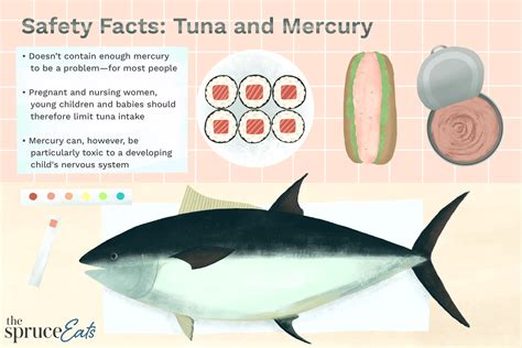 Tuna Fish Brain Function