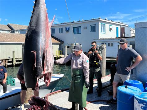 Tuna Rhode Island