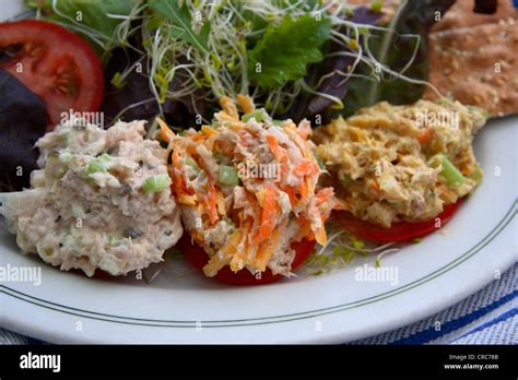 Tuna Salad Recipe Variations to Try