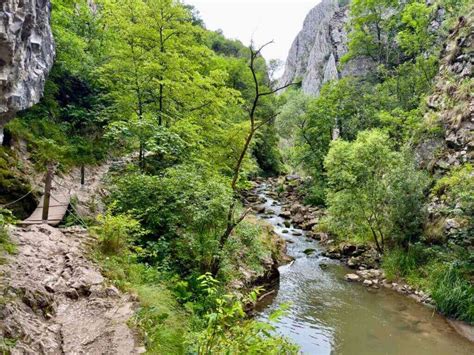 Turda Gorge Biodiversity