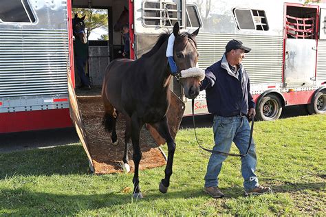 Turf Sprinter The Critical Way First To Arrive At Monmouth Park
