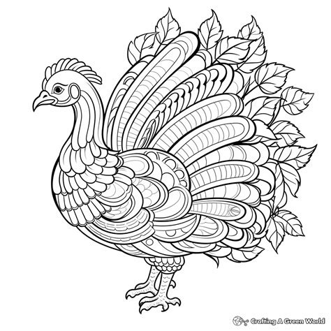 Turkey Coloring Pages Middle School