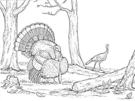 Turkey Hunting Coloring Pages