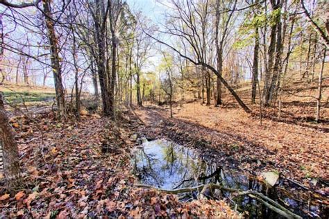 Discover the Ultimate Adventure: Lease Your Perfect Turkey Hunting Property in Turkey