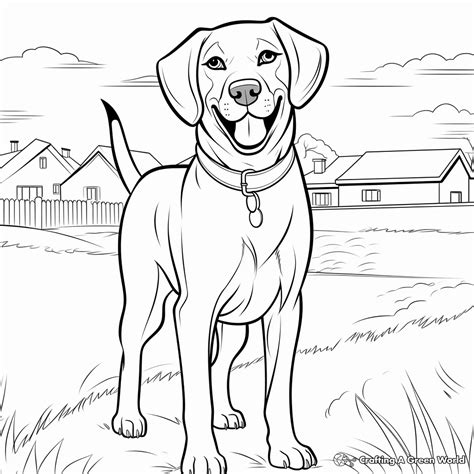 Turn Your Labrador Coloring Pages Printable into Decor