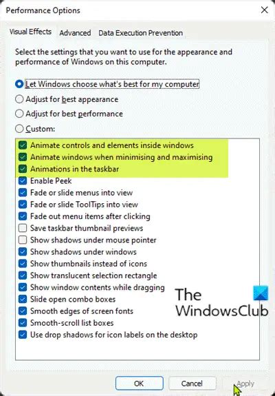 Turning Animation Effects On Or Off Using Performance Options