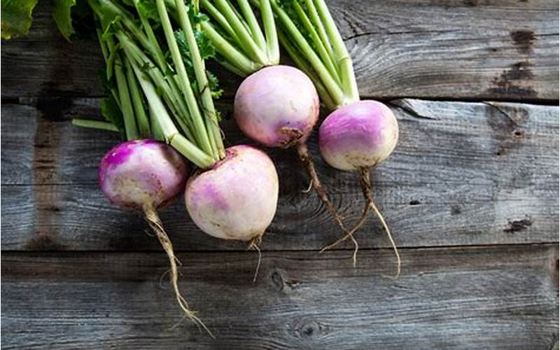Turnips Vegetable