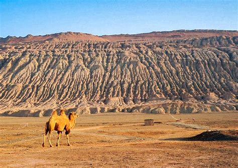 Turpan heat