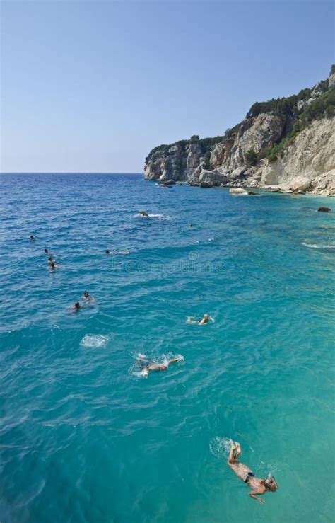 Turquoise Waters Swimming