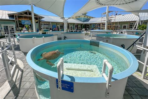 Turtle Conservation Centers