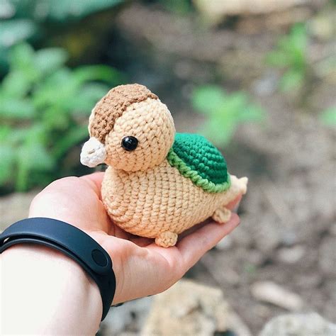 Turtle Duck Crochet Pattern