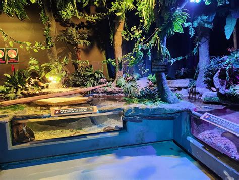 Turtle Exhibits