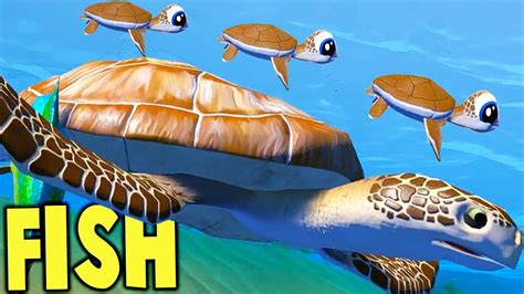 Turtle Fish Games Gameplay