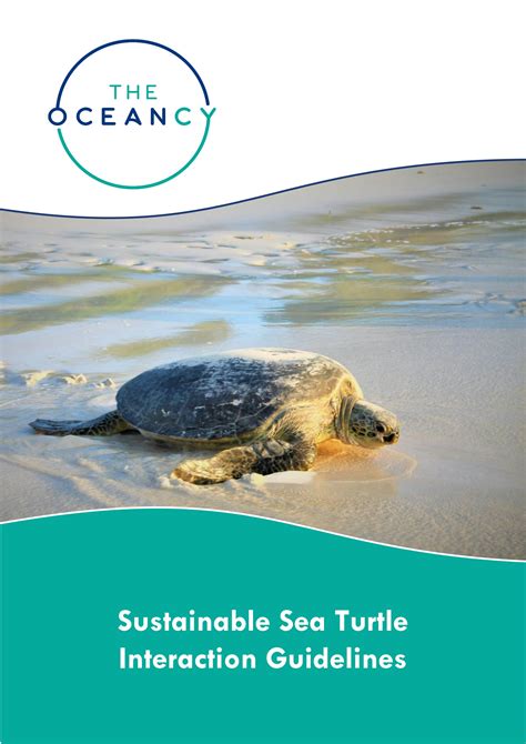 Turtle Interaction Guidelines