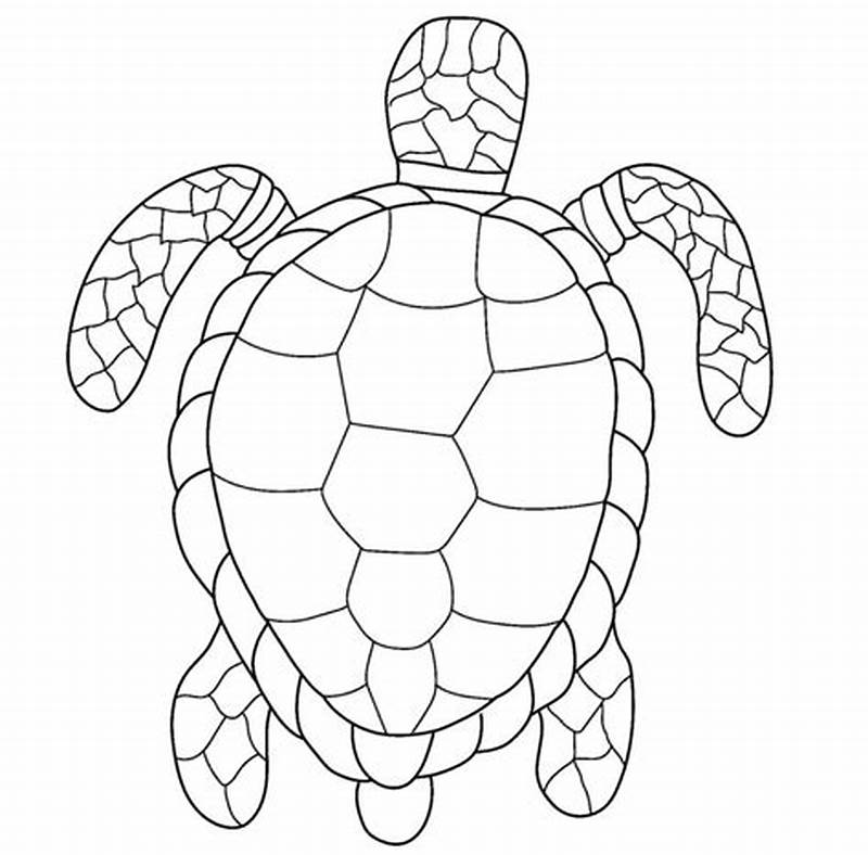 Turtle Shell Coloring