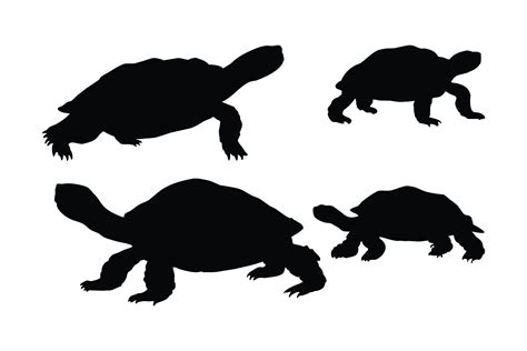 Download Turtle Silhouette Bundle For Crafts