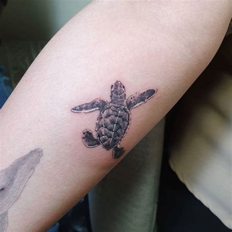 50 Delightful Turtle Tattoo Ideas The Way to Express