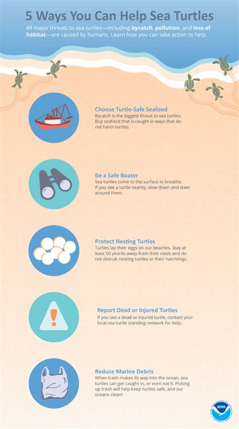 Turtle conservation tips