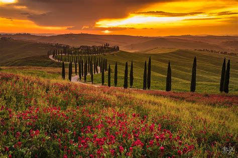 Rolling hills with cypress trees, lush forests, and sparkling blue water in the distance
