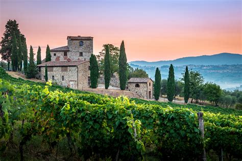Vineyards in Tuscany