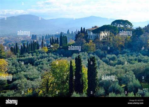 Florence to Tuscany: Is This Day Trip Truly Worth It? A Detailed Review of Siena, San Gimignano & Pisa