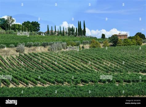 Tuscan landscapes