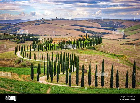 Tuscan scenery