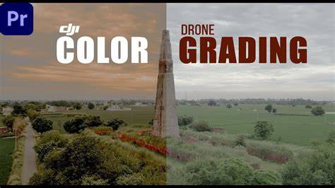 Tutorial Color Grading Video D-Log Drone DJI Di Adobe Premiere Pro