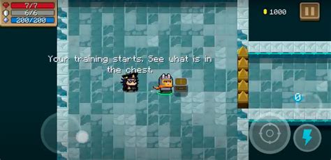 Tutorial Soul Knight