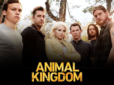 Top 5 TV Shows with the Same Thrill and Action as Animal Kingdom
