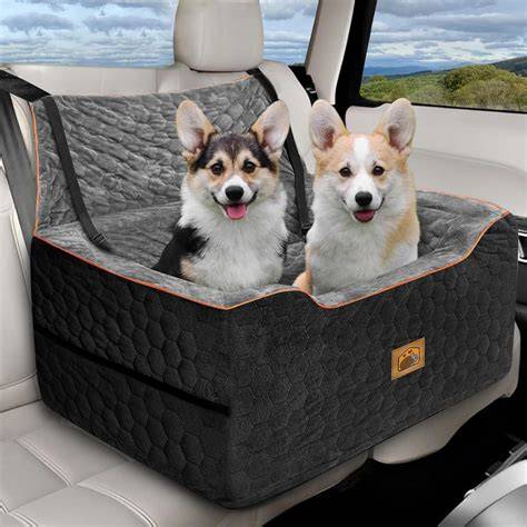 Two Types Of Dogs In The Car