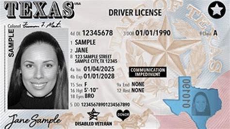 Txdps Drivers License