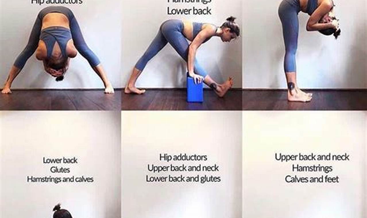 Type Of Yoga For Flexibility