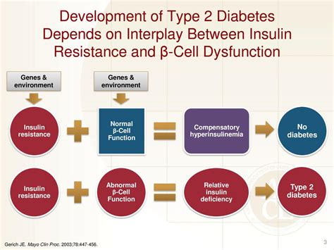 Type 2: Insulin Resistance and Relative Deficiency