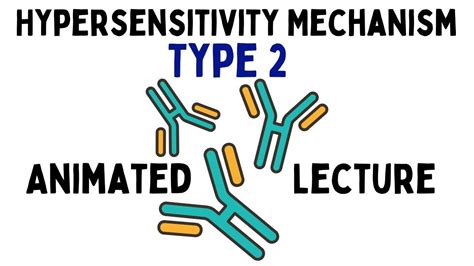 Exploring Type 2 Hypersensitivity: An Animated Guide to Immune System Responses