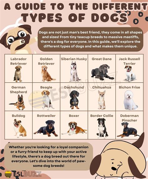 Type Of Dogs 94 App