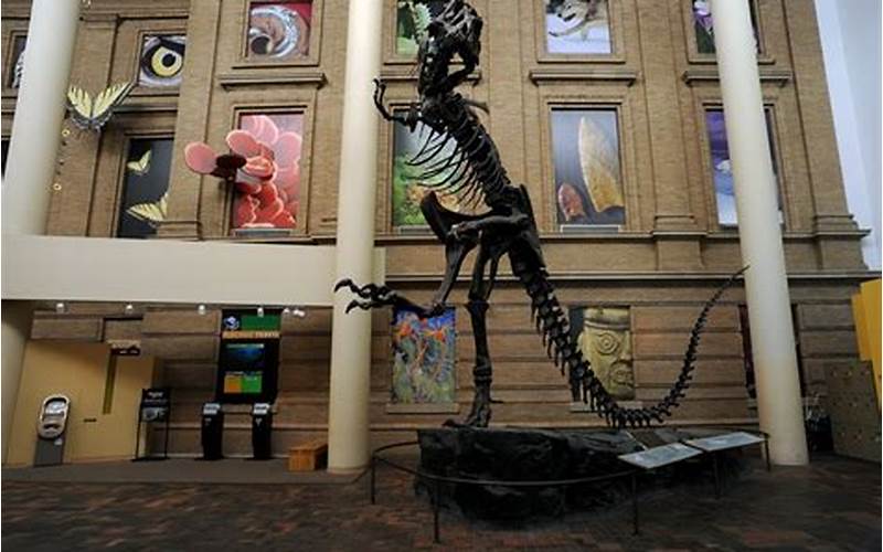 Types Of Denver Museum Of Nature And Science Promo Codes
